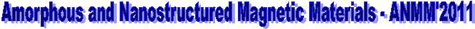 Amorphous and Nanostructured Magnetic Materials - ANMM 2011